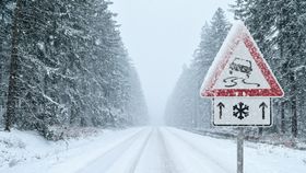 România, sub influența vortexului polar! Zona în care stratul de zăpadă depășete 20 de centimetri